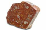 Polished Noreena Jasper Section - Australia #317894-1